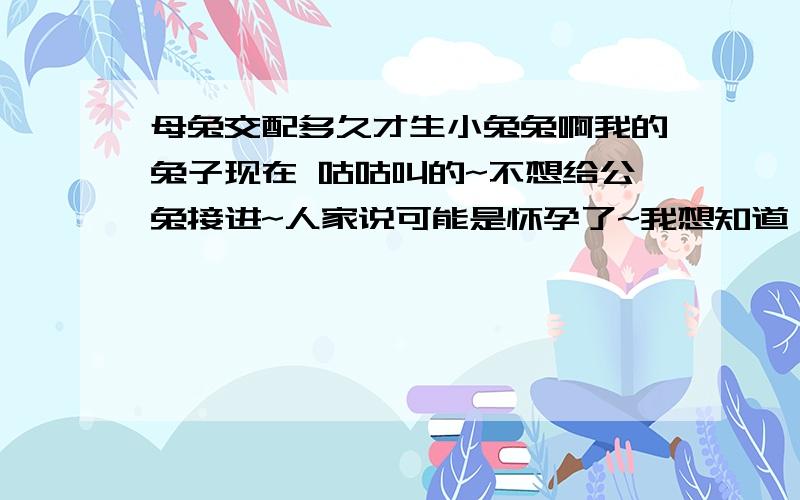 母兔交配多久才生小兔兔啊我的兔子现在 咕咕叫的~不想给公兔接进~人家说可能是怀孕了~我想知道,如果是真的,那要多久才生小BB啊