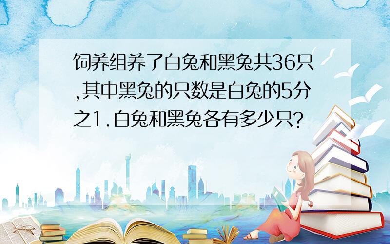 饲养组养了白兔和黑兔共36只,其中黑兔的只数是白兔的5分之1.白兔和黑兔各有多少只?