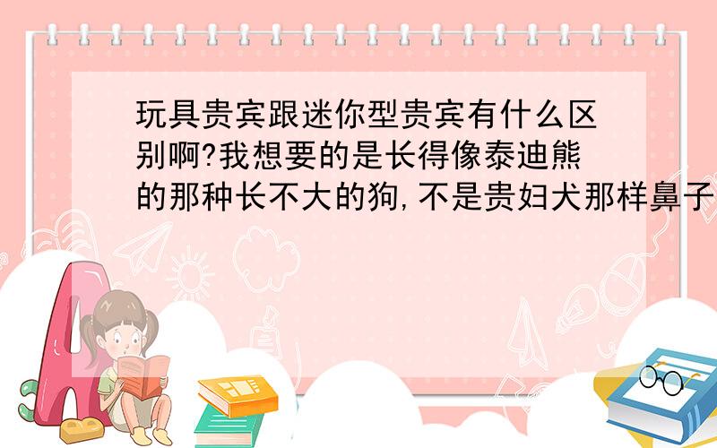 玩具贵宾跟迷你型贵宾有什么区别啊?我想要的是长得像泰迪熊的那种长不大的狗,不是贵妇犬那样鼻子尖尖的.为什么火红色一般都比其它颜色的贵呢?怎么辨别狗纯不纯啊?同一窝的贵宾可以