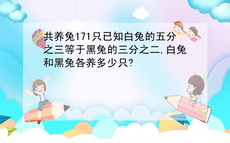 共养兔171只已知白兔的五分之三等于黑兔的三分之二,白兔和黑兔各养多少只?