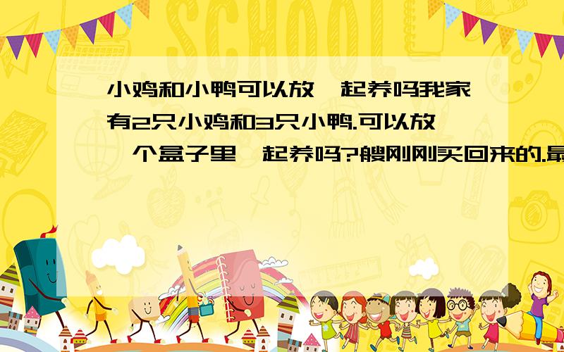 小鸡和小鸭可以放一起养吗我家有2只小鸡和3只小鸭.可以放一个盒子里一起养吗?艘刚刚买回来的.最多也就1个礼拜养下来.