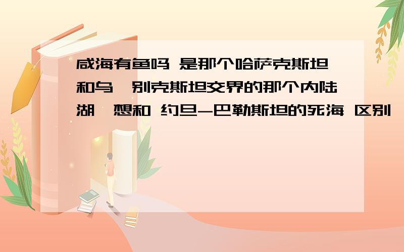 咸海有鱼吗 是那个哈萨克斯坦和乌兹别克斯坦交界的那个内陆湖,想和 约旦-巴勒斯坦的死海 区别一下