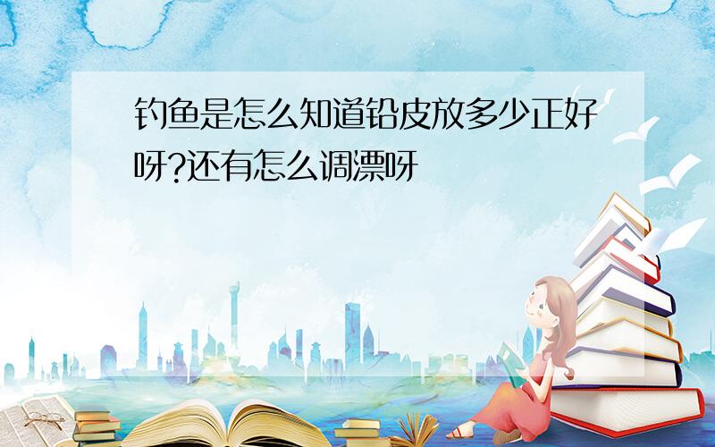 钓鱼是怎么知道铅皮放多少正好呀?还有怎么调漂呀