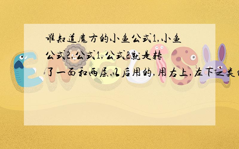 谁知道魔方的小鱼公式1,小鱼公式2,公式1,公式2就是转了一面和两层以后用的,用右上,左下之类的.