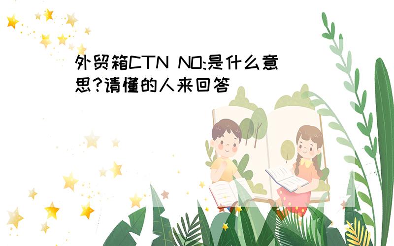 外贸箱CTN NO:是什么意思?请懂的人来回答