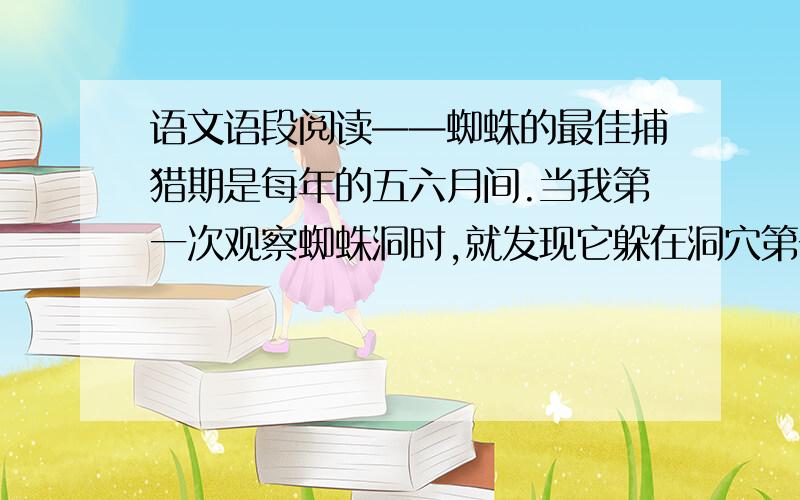 语文语段阅读——蜘蛛的最佳捕猎期是每年的五六月间.当我第一次观察蜘蛛洞时,就发现它躲在洞穴第一层——即前文所说的“拐角处”.一开始我想用蛮力来对付它,就用一把一英尺长两英寸