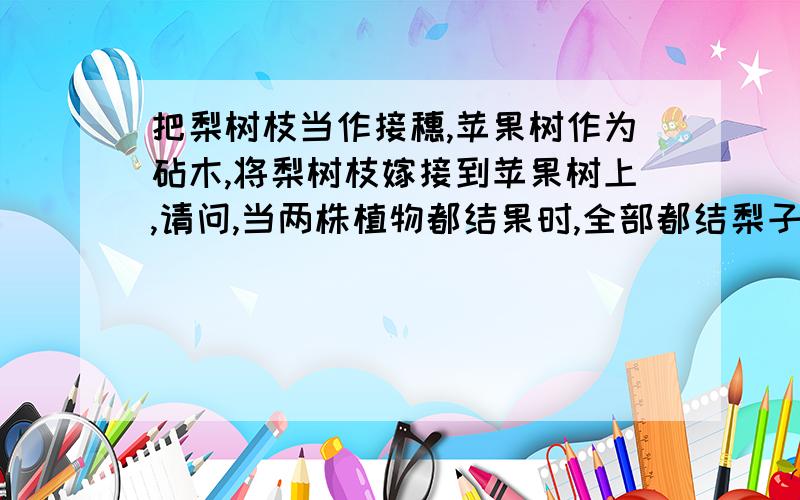 把梨树枝当作接穗,苹果树作为砧木,将梨树枝嫁接到苹果树上,请问,当两株植物都结果时,全部都结梨子吗嫁接梨树到苹果树上时,梨树结梨子,苹果树也结梨子吗(我觉得好象不可能）