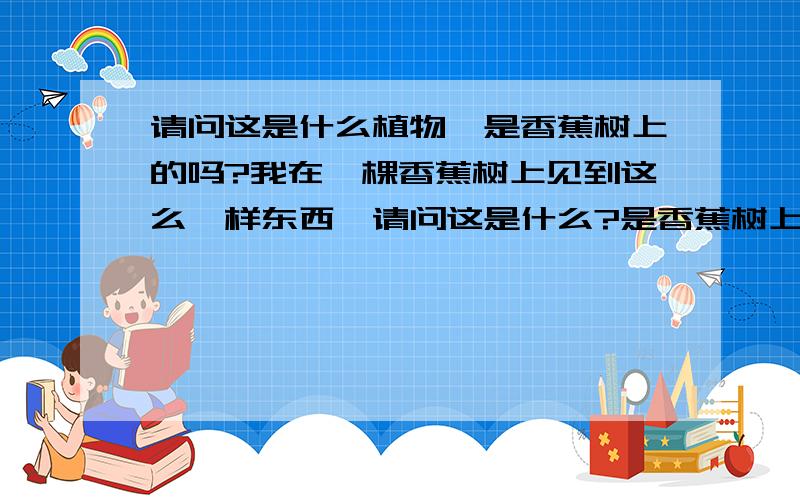 请问这是什么植物,是香蕉树上的吗?我在一棵香蕉树上见到这么一样东西,请问这是什么?是香蕉树上的吗?它看上去像朵花