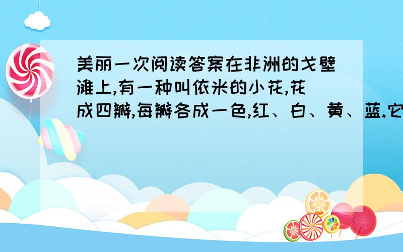 美丽一次阅读答案在非洲的戈壁滩上,有一种叫依米的小花,花成四瓣,每瓣各成一色,红、白、黄、蓝.它的独特并不于此.在那里,根系庞大的植物才能很好地生长,而依米的根却只有一条,蜿蜒盘