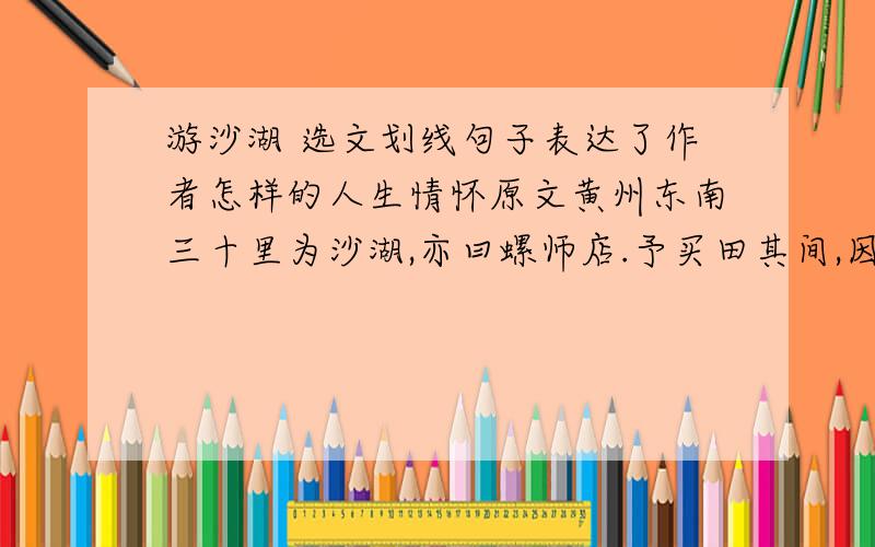 游沙湖 选文划线句子表达了作者怎样的人生情怀原文黄州东南三十里为沙湖,亦曰螺师店.予买田其间,因往相田得疾.闻麻桥人庞安常善医而聋,遂往求疗.安常虽聋,而颖悟过人,以纸画字,书不数