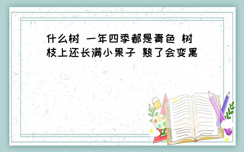 什么树 一年四季都是青色 树枝上还长满小果子 熟了会变黑