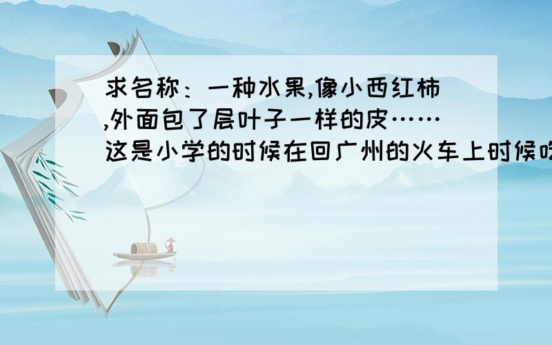 求名称：一种水果,像小西红柿,外面包了层叶子一样的皮……这是小学的时候在回广州的火车上时候吃到的,求名称~