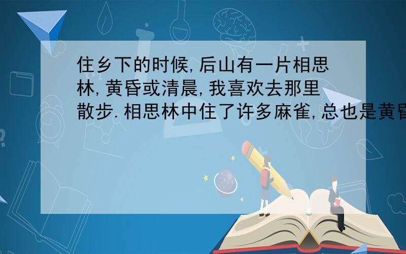 住乡下的时候,后山有一片相思林,黄昏或清晨,我喜欢去那里散步.相思林中住了许多麻雀,总也是黄昏和靖晨最热闹,一大群麻雀东蹦西跳、大呼小 叫,好像一座拥挤热闹的市场,听到震耳的喧哗