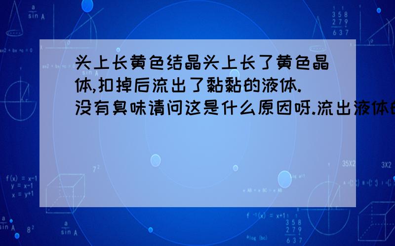 头上长黄色结晶头上长了黄色晶体,扣掉后流出了黏黏的液体.没有臭味请问这是什么原因呀.流出液体的地方还特别热