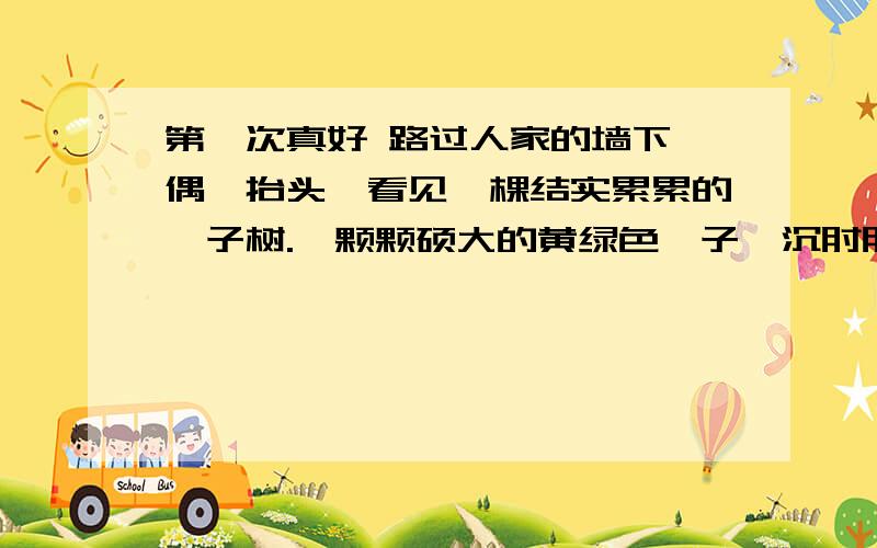 第一次真好 路过人家的墙下,偶一抬头,看见一棵结实累累的柚子树.一颗颗硕大的黄绿色柚子,沉甸甸垂吊在枝头.这景色不见得很美,却是一幅秋日风情画.　　我是个生长在都市,从来不曾享受