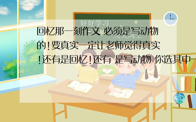 回忆那一刻作文 必须是写动物的!要真实一定让老师觉得真实!还有是回忆!还有 是写动物 你选其中一个 ：小狗 小猫 小白兔 ,只可以写这三个