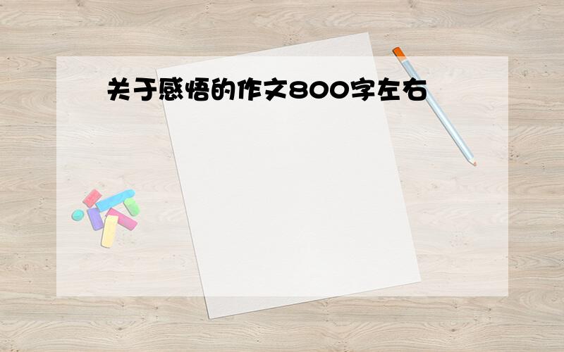 关于感悟的作文800字左右