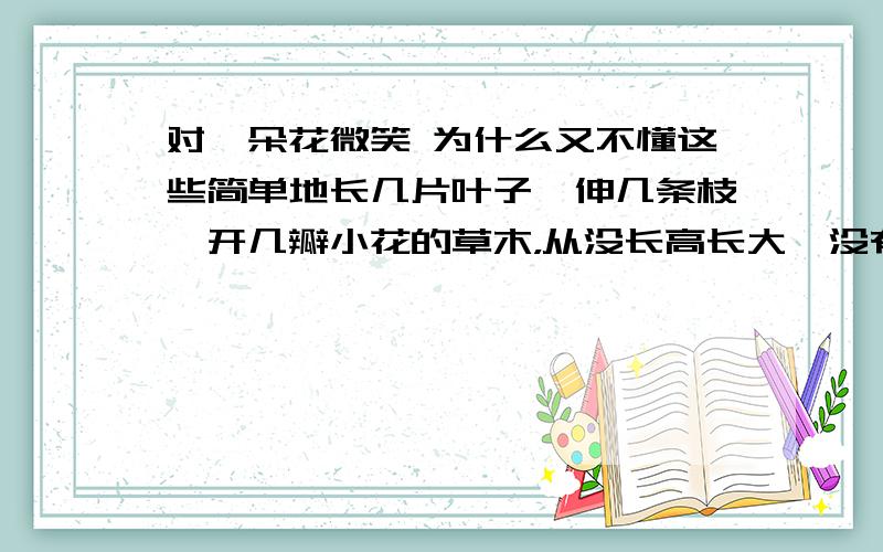 对一朵花微笑 为什么又不懂这些简单地长几片叶子、伸几条枝、开几瓣小花的草木，从没长高长大、没有茂盛过的草木，每年每年，从我少有笑容的脸和无精打采的行走中，看到的是否全是