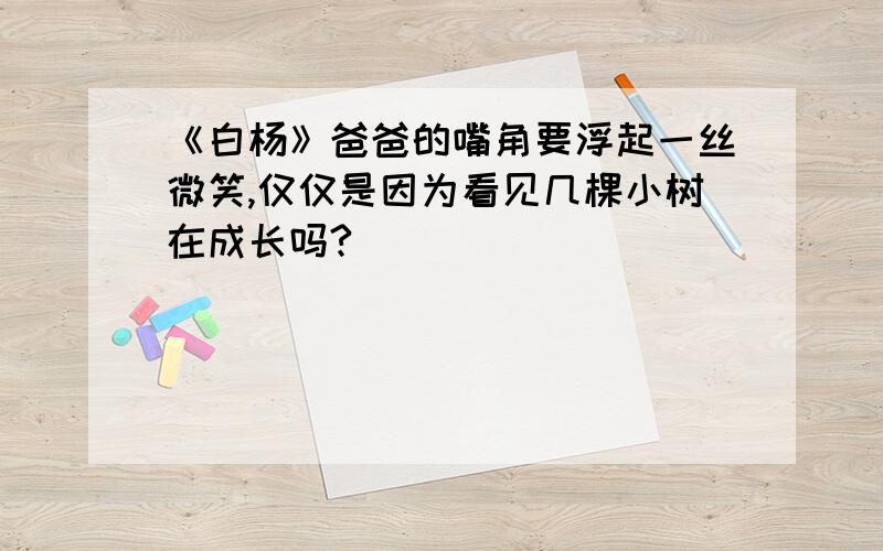 《白杨》爸爸的嘴角要浮起一丝微笑,仅仅是因为看见几棵小树在成长吗?