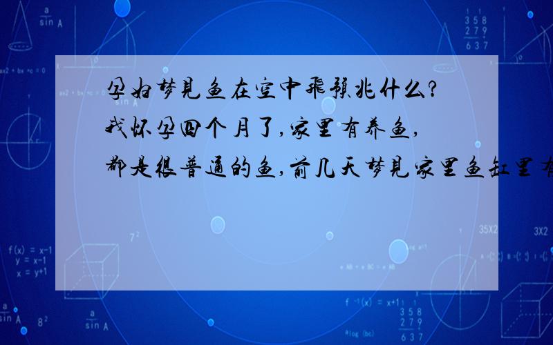 孕妇梦见鱼在空中飞预兆什么?我怀孕四个月了,家里有养鱼,都是很普通的鱼,前几天梦见家里鱼缸里有很多奇形怪状的鱼,很多鱼都没有见过,鱼都从鱼缸里飞出来了,就在家里的空中飞,我和我