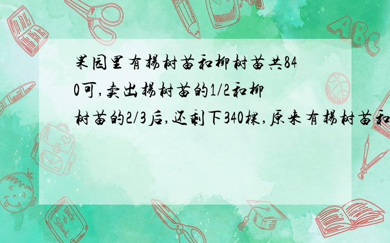 果园里有杨树苗和柳树苗共840可,卖出杨树苗的1/2和柳树苗的2/3后,还剩下340棵,原来有杨树苗和柳树苗各各多少棵?