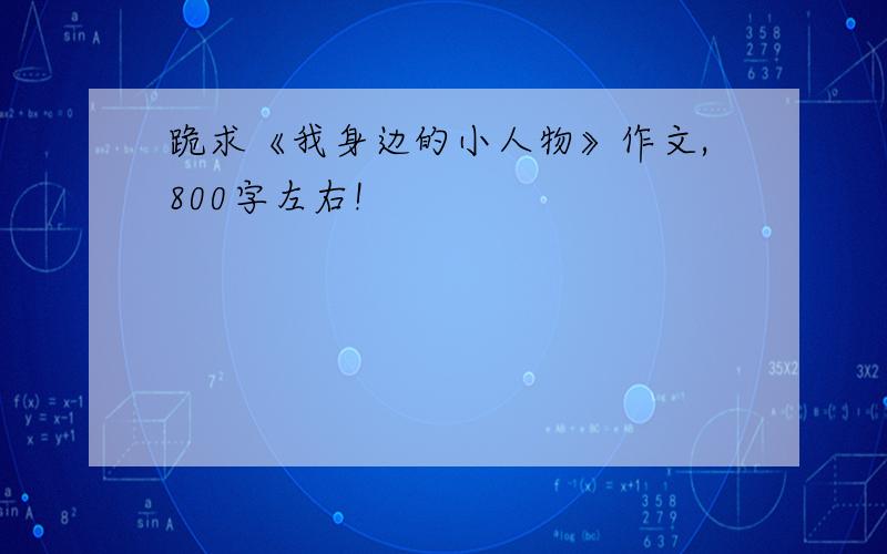 跪求《我身边的小人物》作文,800字左右!