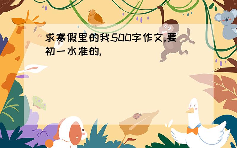 求寒假里的我500字作文,要初一水准的,