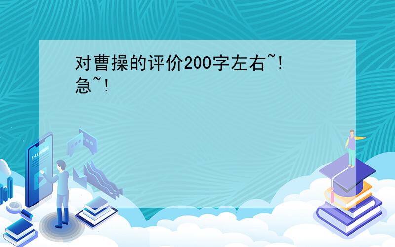 对曹操的评价200字左右~!急~!