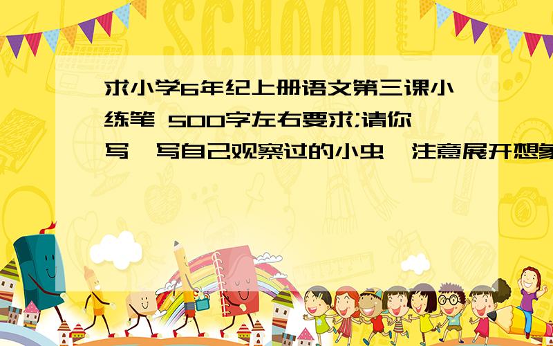 求小学6年纪上册语文第三课小练笔 500字左右要求;请你写一写自己观察过的小虫,注意展开想象,融入自己的感受