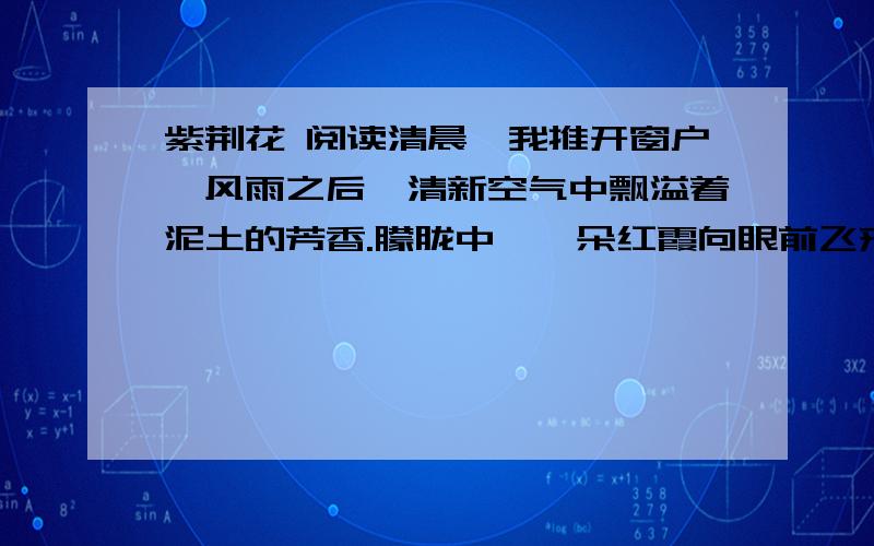 紫荆花 阅读清晨,我推开窗户,风雨之后,清新空气中飘溢着泥土的芳香.朦胧中,一朵红霞向眼前飞来,原来是那盆心爱的紫荆花,一夜之间竞相怒放了,真有一番“夜来风雨声,花‘开’知多少”的