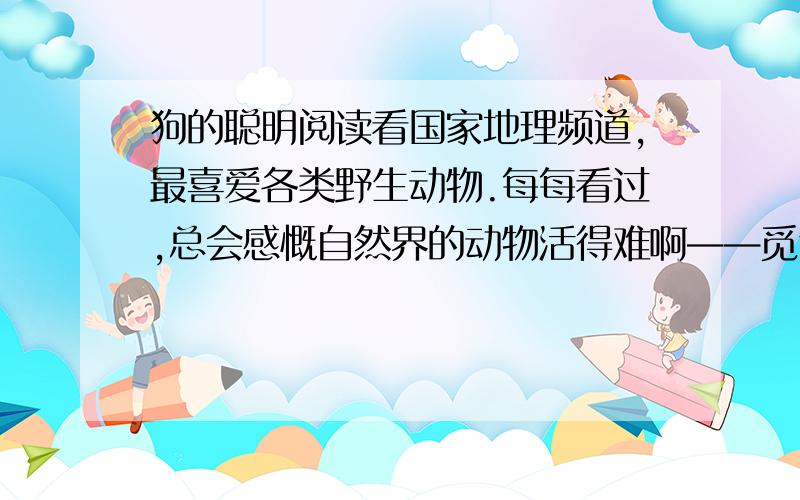 狗的聪明阅读看国家地理频道,最喜爱各类野生动物.每每看过,总会感慨自然界的动物活得难啊——觅食固不易,生存更危险；万物相侵害,一环扣一环.好不容易一口一口衔食喂大的小鸟,让黄鼬