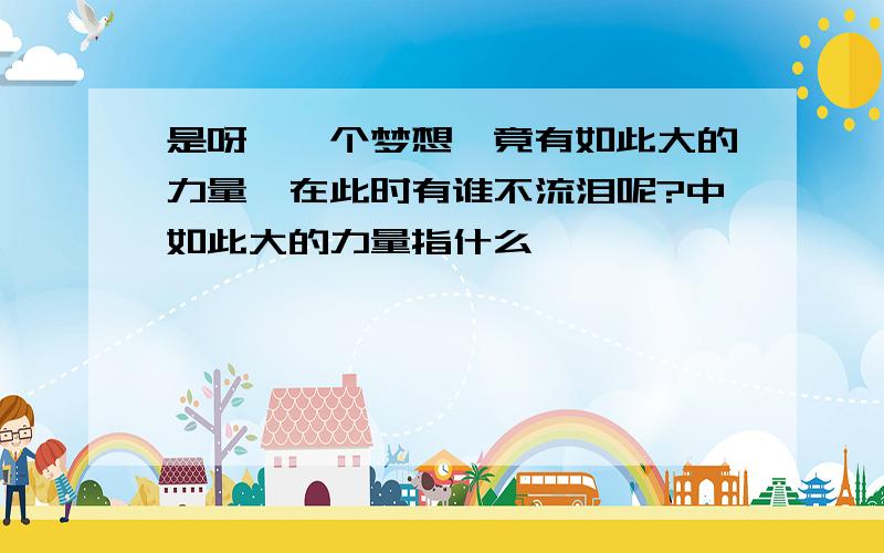 是呀,一个梦想,竟有如此大的力量,在此时有谁不流泪呢?中如此大的力量指什么