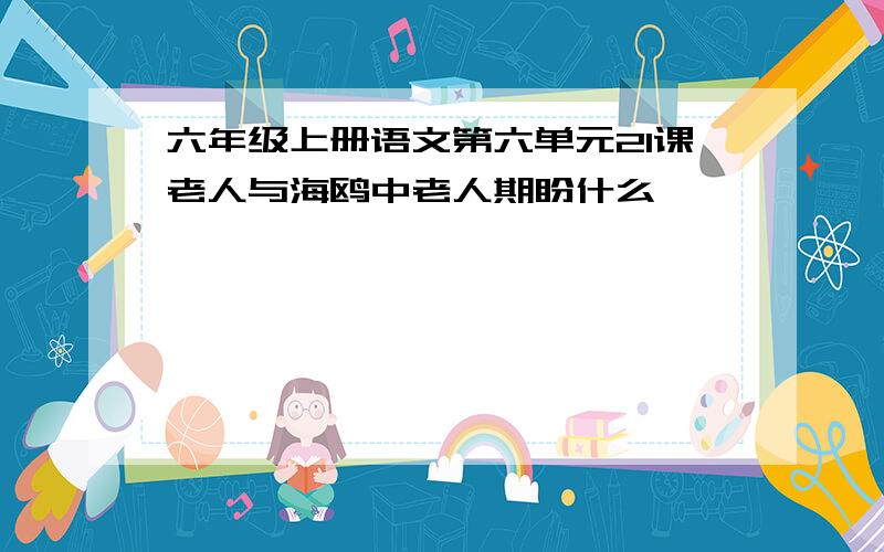 六年级上册语文第六单元21课老人与海鸥中老人期盼什么