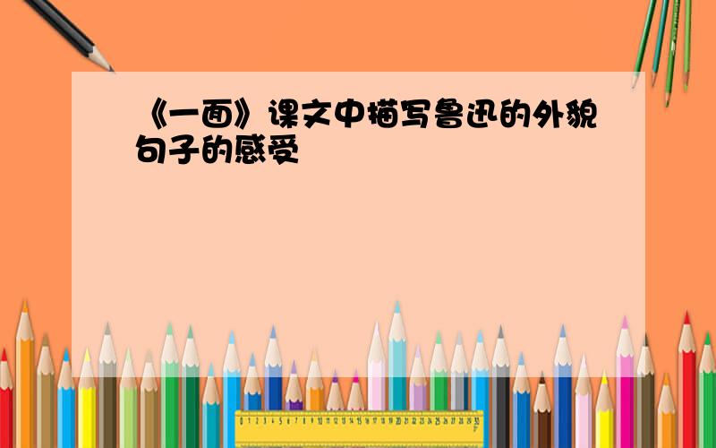 《一面》课文中描写鲁迅的外貌句子的感受