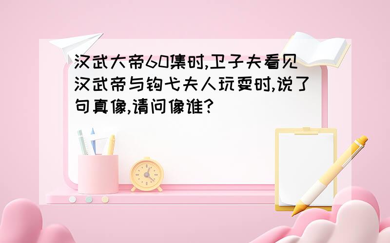 汉武大帝60集时,卫子夫看见汉武帝与钩弋夫人玩耍时,说了句真像,请问像谁?