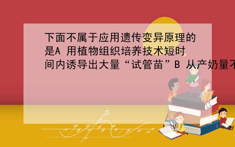 下面不属于应用遗传变异原理的是A 用植物组织培养技术短时间内诱导出大量“试管苗”B 从产奶量不同的奶牛中选择繁育出高产奶牛C 通过高产倒伏小麦与低产抗倒伏小麦杂交,选育出高产抗