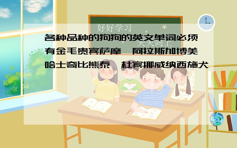 各种品种的狗狗的英文单词必须有金毛贵宾萨摩耶阿拉斯加博美哈士奇比熊泰迪杜宾挪威纳西施犬