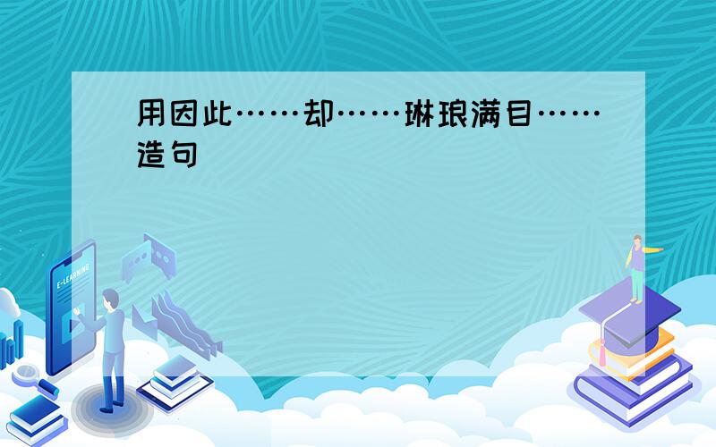 用因此……却……琳琅满目……造句