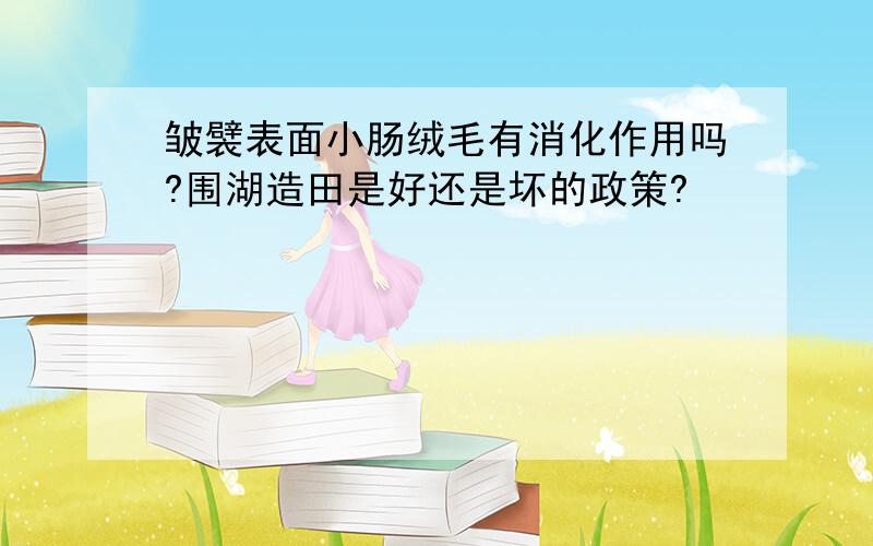 皱襞表面小肠绒毛有消化作用吗?围湖造田是好还是坏的政策?