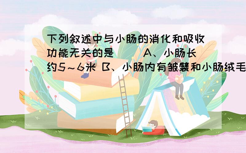 下列叙述中与小肠的消化和吸收功能无关的是（ ）A、小肠长约5～6米 B、小肠内有皱襞和小肠绒毛 C、小肠内有多种消化液 D、小肠与大肠相连.