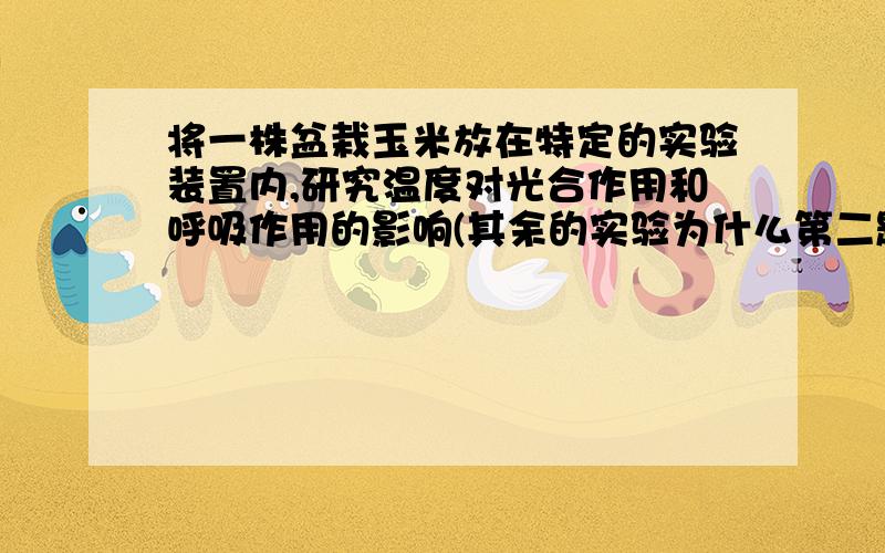 将一株盆栽玉米放在特定的实验装置内,研究温度对光合作用和呼吸作用的影响(其余的实验为什么第二题是20摄氏度不是25摄氏度?