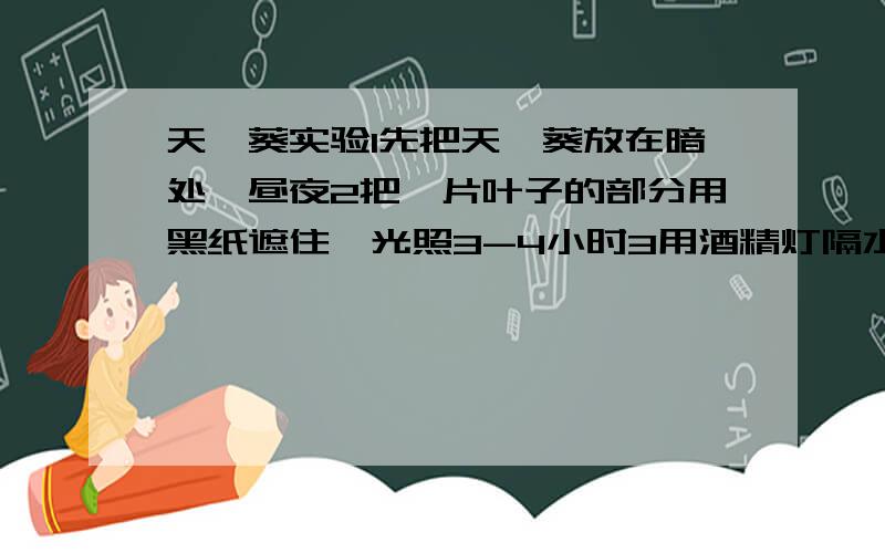 天竺葵实验1先把天竺葵放在暗处一昼夜2把一片叶子的部分用黑纸遮住,光照3-4小时3用酒精灯隔水加热,由（ ）色变成（ ）色4取下黑纸,用碘液洗,遮住的部分是（ ）色,未被遮住的部分是（ ）