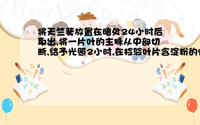 将天竺葵放置在暗处24小时后取出,将一片叶的主脉从中部切断,给予光照2小时,在检验叶片含淀粉的情况,发现连接上面的问题：近叶柄部分含淀粉多,原因是：A、近叶柄部分的淀粉有其他部分