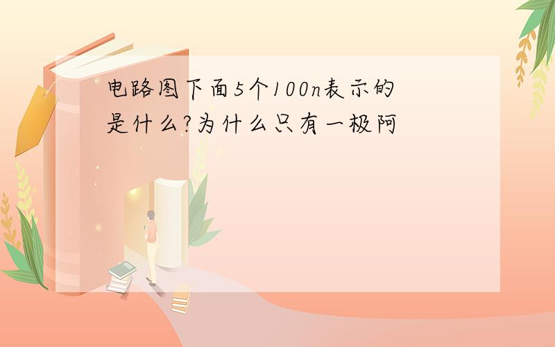 电路图下面5个100n表示的是什么?为什么只有一极阿