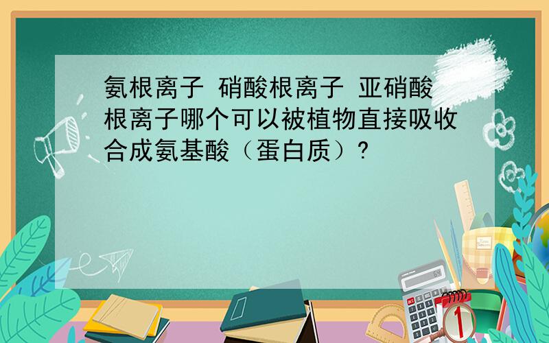 氨根离子 硝酸根离子 亚硝酸根离子哪个可以被植物直接吸收合成氨基酸（蛋白质）?