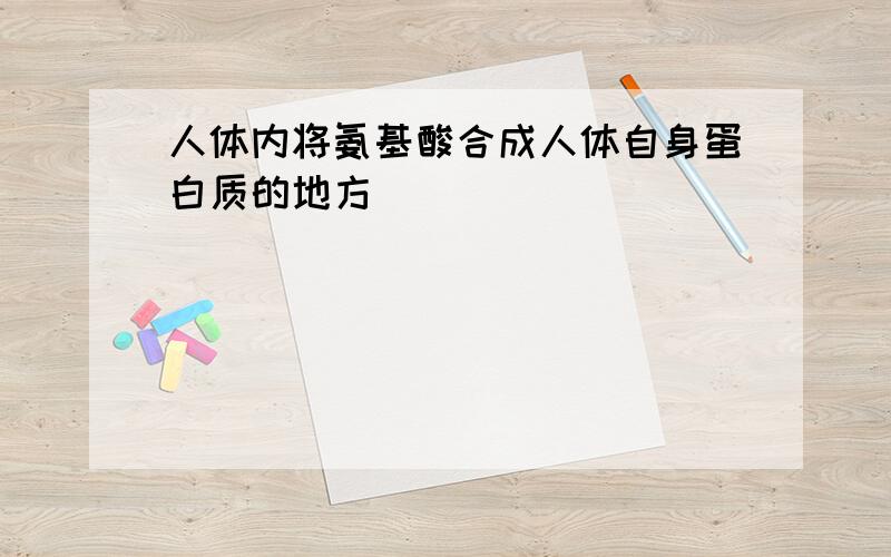 人体内将氨基酸合成人体自身蛋白质的地方