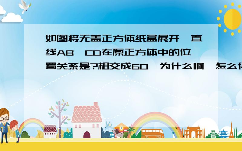 如图将无盖正方体纸盒展开,直线AB,CD在原正方体中的位置关系是?相交成60°为什么啊、怎么得到的?