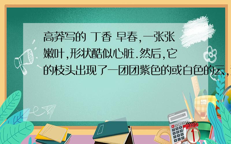 高莽写的 丁香 早春,一张张嫩叶,形状酷似心脏.然后,它的枝头出现了一团团紫色的或白色的云,这是由许许多多小花朵组成的.到了秋季,它接下扁扁的果实,再过不久,寒冬来临了,丁香树却脱掉