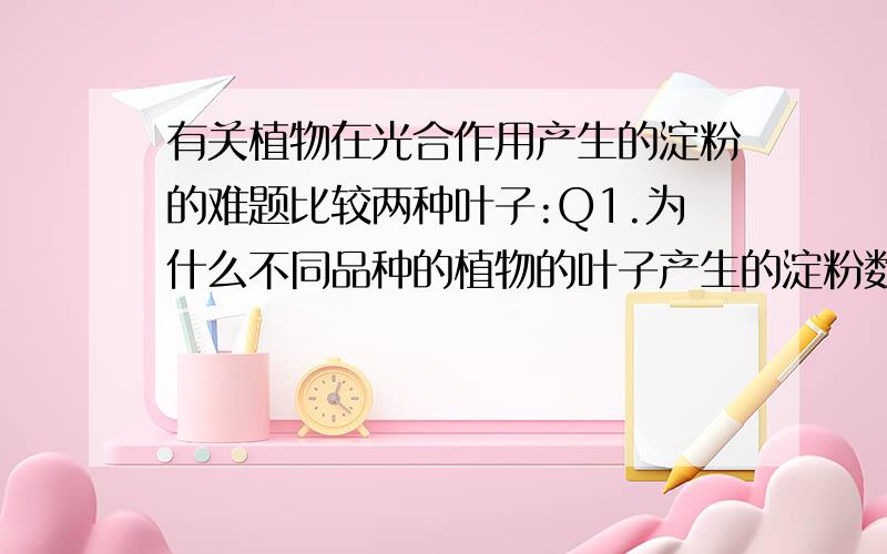 有关植物在光合作用产生的淀粉的难题比较两种叶子:Q1.为什么不同品种的植物的叶子产生的淀粉数量会不同?条件:(1.他们大小相若,两种绿色叶子产生的淀粉数量不同,生长环境都在阳光充足