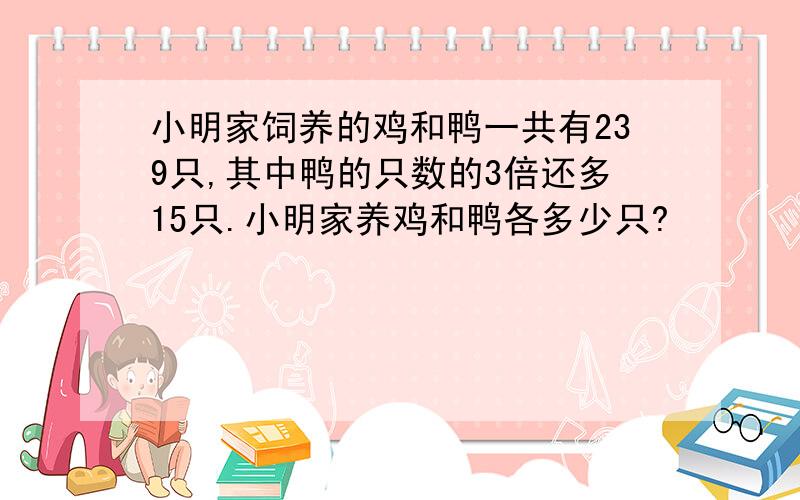 小明家饲养的鸡和鸭一共有239只,其中鸭的只数的3倍还多15只.小明家养鸡和鸭各多少只?